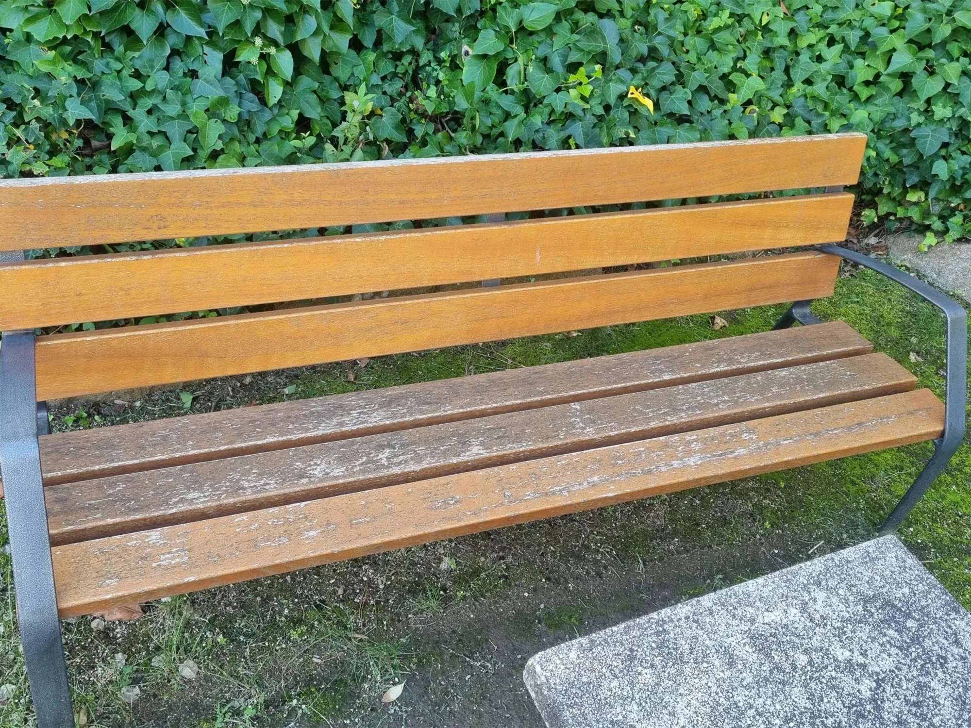 banco-antes-scaled-jpg